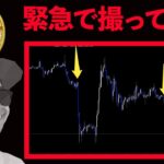 SECショック⁉️緊急で撮ってます❗️