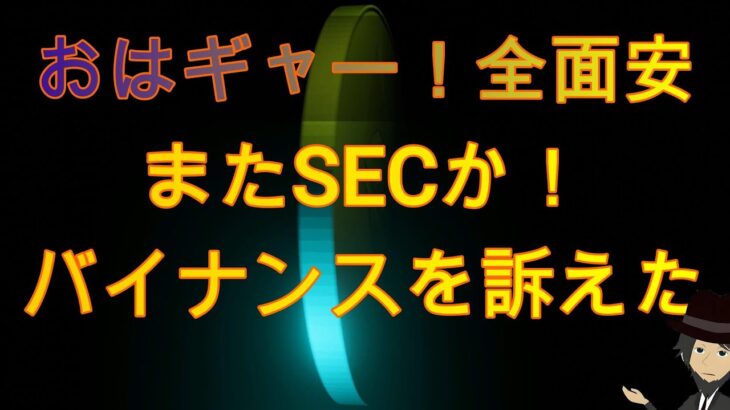 朝起きてギャー！またSEC！バイナンスを訴える！