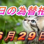 【TAKA FX】ドル、円、ユーロ、ポンド、豪ドルの為替相場の前日の動きをチャートから解説。6月29日