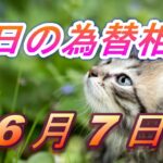 【TAKA FX】ドル、円、ユーロ、ポンド、豪ドルの為替相場の前日の動きをチャートから解説。6月7日