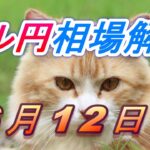 【TAKA FX】ドル円為替相場の今週の動きと来週の展望をチャートから解説。日経平均、NYダウ、金チャートも。6月12日～