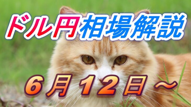 【TAKA FX】ドル円為替相場の今週の動きと来週の展望をチャートから解説。日経平均、NYダウ、金チャートも。6月12日～
