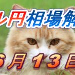 【TAKA FX】ドル円為替相場の前日の動きをチャートから解説。日経平均、NYダウ、金チャートも。6月13日