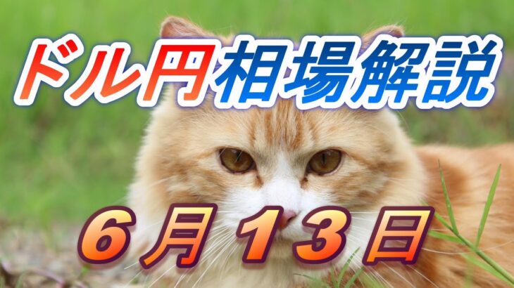 【TAKA FX】ドル円為替相場の前日の動きをチャートから解説。日経平均、NYダウ、金チャートも。6月13日