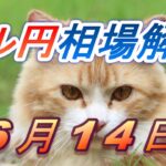 【TAKA FX】ドル円為替相場の前日の動きをチャートから解説。日経平均、NYダウ、金チャートも。6月14日