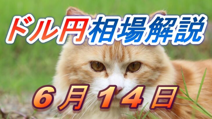 【TAKA FX】ドル円為替相場の前日の動きをチャートから解説。日経平均、NYダウ、金チャートも。6月14日