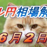 【TAKA FX】ドル円為替相場の前日の動きをチャートから解説。日経平均、NYダウ、金チャートも。6月2日