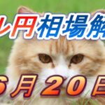 【TAKA FX】ドル円為替相場の前日の動きをチャートから解説。日経平均、NYダウ、金チャートも。6月20日