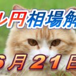 【TAKA FX】ドル円為替相場の前日の動きをチャートから解説。日経平均、NYダウ、金チャートも。6月21日