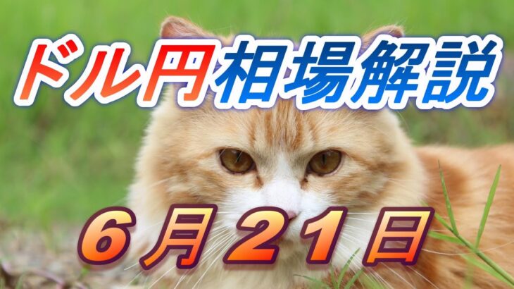 【TAKA FX】ドル円為替相場の前日の動きをチャートから解説。日経平均、NYダウ、金チャートも。6月21日