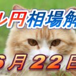 【TAKA FX】ドル円為替相場の前日の動きをチャートから解説。日経平均、NYダウ、金チャートも。6月22日