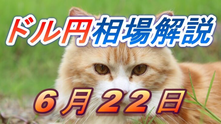 【TAKA FX】ドル円為替相場の前日の動きをチャートから解説。日経平均、NYダウ、金チャートも。6月22日