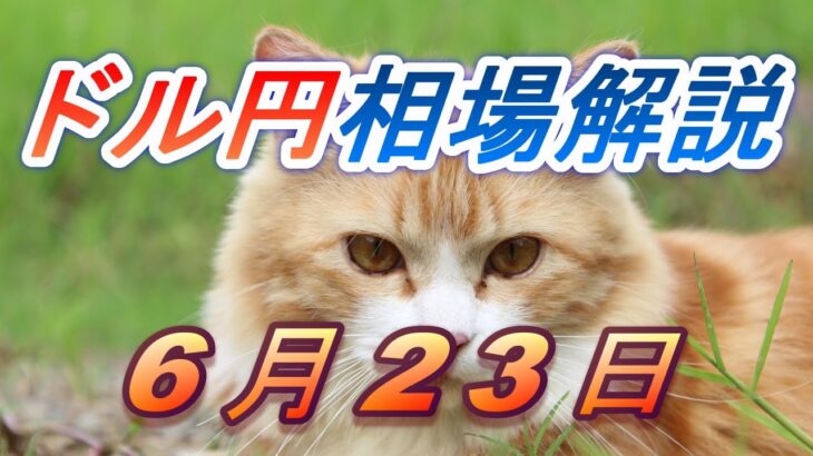 【TAKA FX】ドル円為替相場の前日の動きをチャートから解説。日経平均、NYダウ、金チャートも。6月23日