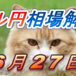 【TAKA FX】ドル円為替相場の前日の動きをチャートから解説。日経平均、NYダウ、金チャートも。6月27日