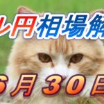 【TAKA FX】ドル円為替相場の前日の動きをチャートから解説。日経平均、NYダウ、金チャートも。6月30日
