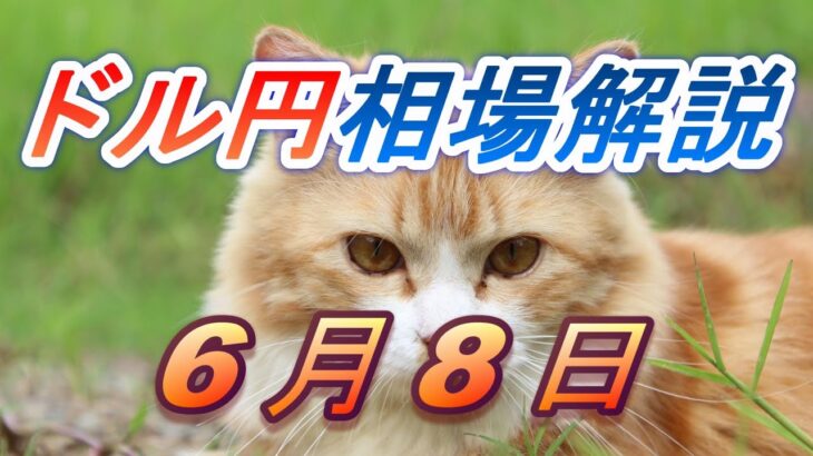 【TAKA FX】ドル円為替相場の前日の動きをチャートから解説。日経平均、NYダウ、金チャートも。6月8日