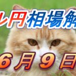 【TAKA FX】ドル円為替相場の前日の動きをチャートから解説。日経平均、NYダウ、金チャートも。6月9日