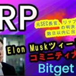 【仮想通貨】あのイーロンマスクのTwitter関連ツィートで、XRPコミニティが大歓喜！元SEC長官、意味あり発言！数日以内に訴訟判決が出る？最新暗号資産情報公開中　#暗号資産,#BTC,# XRP,