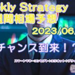 Weekly Strategy(FXチャート分析・予想2023/06/05～)ドル&円指数、クロス円、ドルスト、ゴールド、おすすめ(不定期)