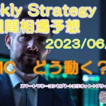 Weekly Strategy(FXチャート分析・予想2023/06/12～)ドル&円指数、クロス円、ドルスト、ゴールド、おすすめ(不定期)