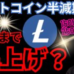 【ライトコイン】半減期前で好調！何円まで爆上げる？