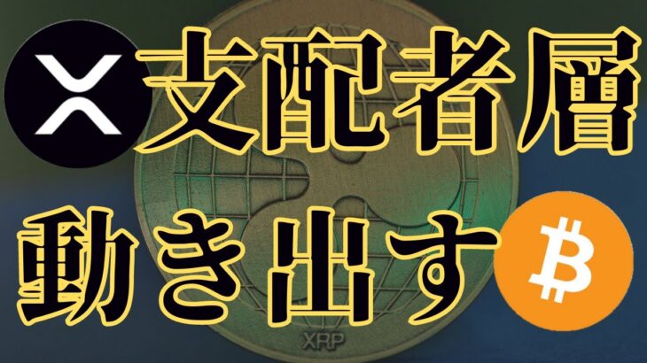【仮装通貨投資】支配者層が価格を上げた・・・！？　#リップル #ビットコイン #仮想通貨
