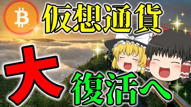 【ガチホ大勝利】将来の仮想通貨再バブル発生が確定濃厚となりました。