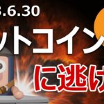 為替介入が近い。ビットコイン爆上げと円安を予想します
