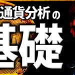 【初心者必見】仮想通貨分析の基礎を専門用語０で解説！
