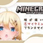 【マイクラ】黙ってブランチマイニングする【#05】