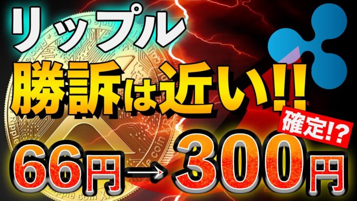 【リップル】裁判の決着に備えろ。10年に1度の大幅高騰が来る！
