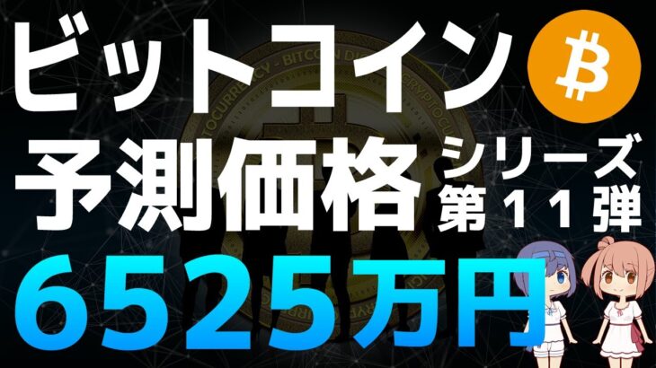【ビットコイン】ビットコインの予測価格シリーズ第11弾【ミハエル・ファン・デ・ポッペ】【仮想通貨・暗号資産】