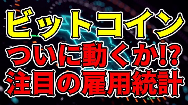 【仮想通貨 ビットコイン】レジスタンスとサポートはもう分かった！あとはチャンスが来るまで焦らず待つのみ（朝活配信1163日目 毎日相場をチェックするだけで勝率アップ）【暗号資産 Crypto】