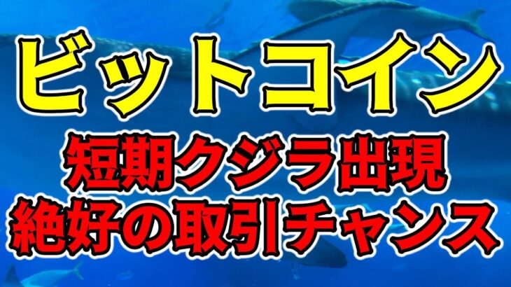 【仮想通貨 ビットコイン】短期クジラ出現でボラティリティ急増中！まずは下げ止まりポイントの見極めから（朝活配信1181日目 毎日相場をチェックするだけで勝率アップ）【暗号資産 Crypto】
