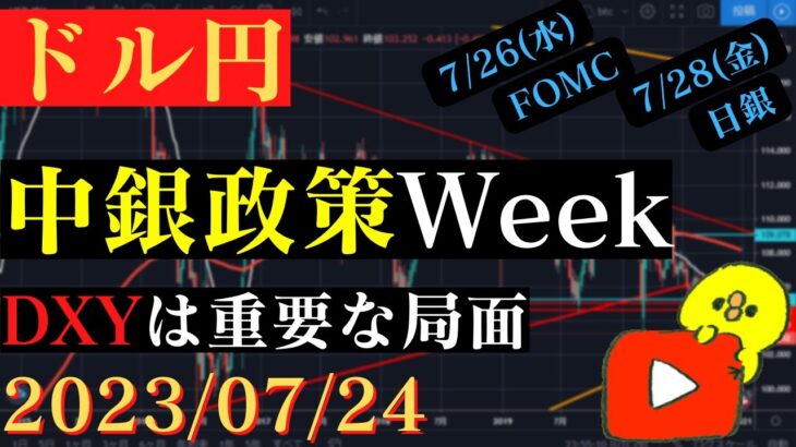 【ドル円】下落から一転、急反発‼今週は金利政策尽くし‼🐥2023/07/24🐥