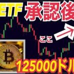 【2024年末】ビットコイン125000ドルまで上昇の可能性（BTC）