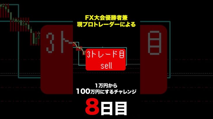 28歳FXトレーダー　1万円から100万円を目指す　8日目