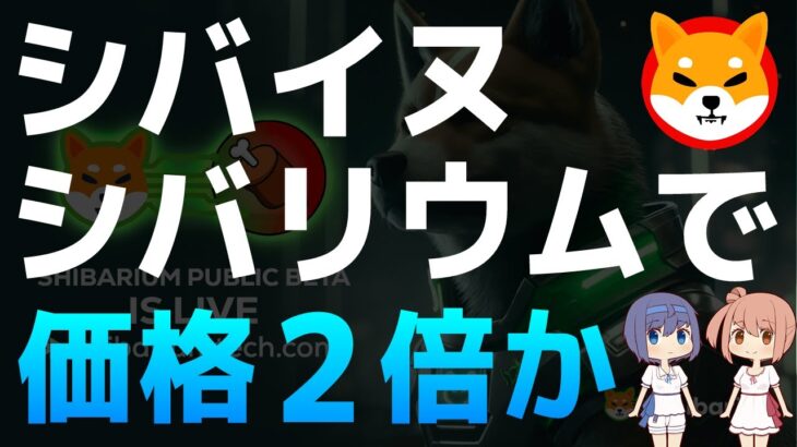 シバリウムがリリースされたら柴犬コインの価格は2倍になると予想します【シバイヌ・SHIB】【仮想通貨・暗号資産】