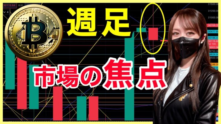 【ビットコイン3万ドル耐える？】CPI FOMCに向けた徹底分析！ 仮想通貨 BTC
