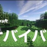 【9】マインクラフト　ブランチマイニング＆倉庫作り　JAVA サバイバル