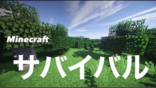 【9】マインクラフト　ブランチマイニング＆倉庫作り　JAVA サバイバル