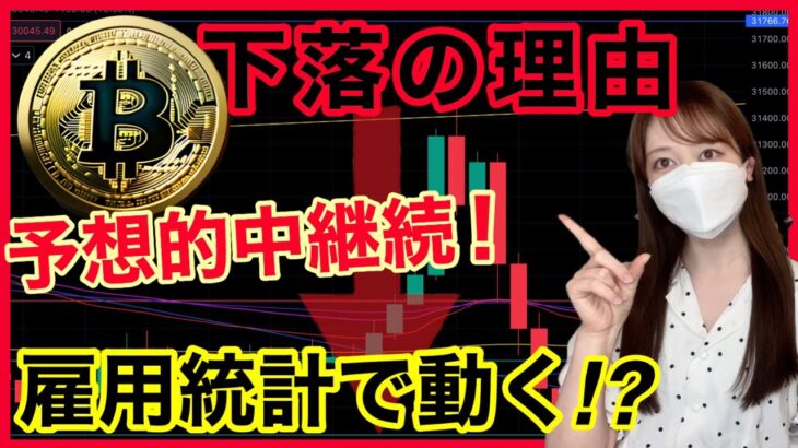【BTC ETH急落中！】本日の米雇用統計で反発なるか？ビットコイン徹底分析！ 仮想通貨