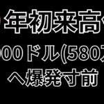 ビットコイン(BTC)年初来高値！40,000ドル (580万円) へ爆発寸前。