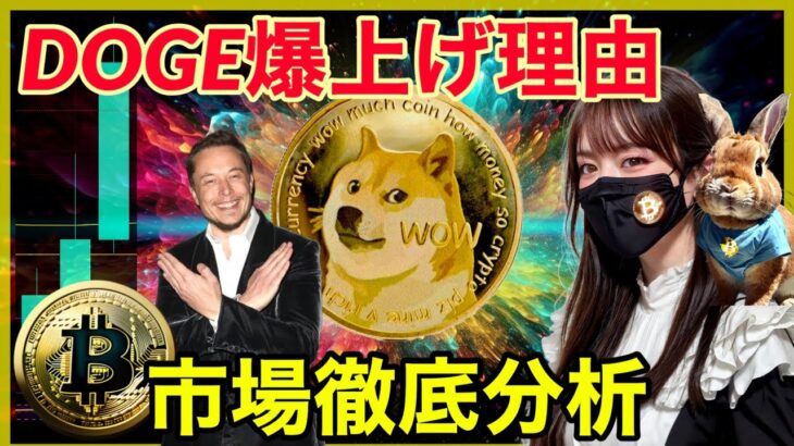 【BTC,DOGE分析】🐶ドージ爆上げの理由は❓イーロンマスクTwitterをXプラットフォームへ。大革命を起こす？ 仮想通貨徹底分析