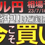 【ドル円最新予想】ドル円、今こそ買いの好機！急落時はこうやって攻めろ！簡単解説！来週の為替相場予想と投資戦略！CPI・PPI・ベージュブックにも注目！(23/7/10週)【FX】