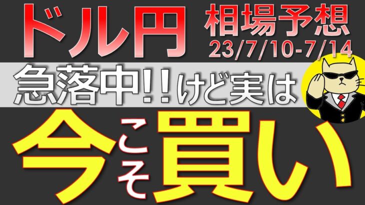 【ドル円最新予想】ドル円、今こそ買いの好機！急落時はこうやって攻めろ！簡単解説！来週の為替相場予想と投資戦略！CPI・PPI・ベージュブックにも注目！(23/7/10週)【FX】