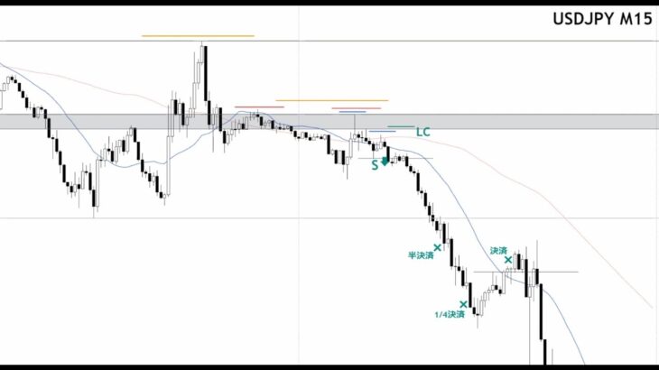 【FX:ドル円 2023.7.8】トレードポイント解説