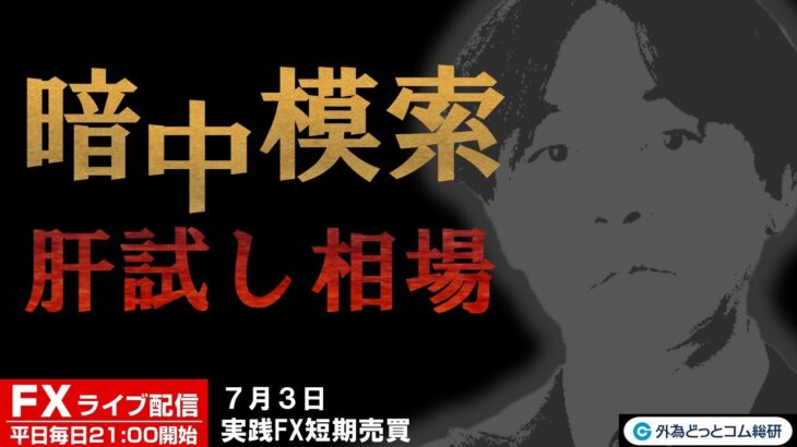 FX ライブ配信、暗中模索 肝試し相場 ドル円介入警戒(2023年7月3日)