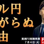 FX ライブ配信、ドル円下がらぬ理由 (2023年7月4日)