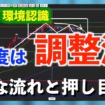 【FX ドル円 初心者向け環境認識 23年7月3週】今度は長期上昇トレンドの調整に？全体の流れとどこで押し目買いを狙うかポイントを確認！
